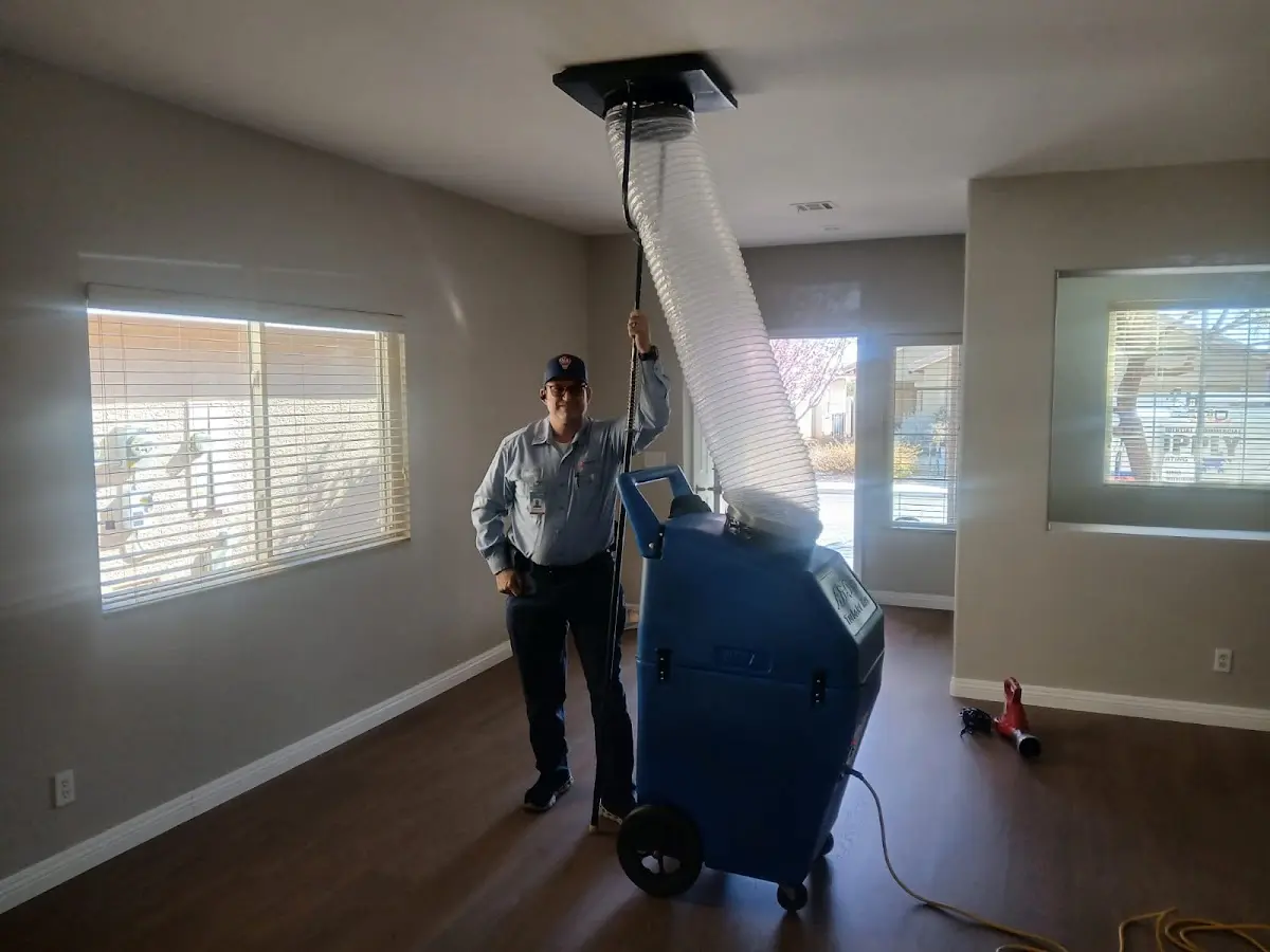 Professional Dryer Vent Cleaning work inside a Hampstead home